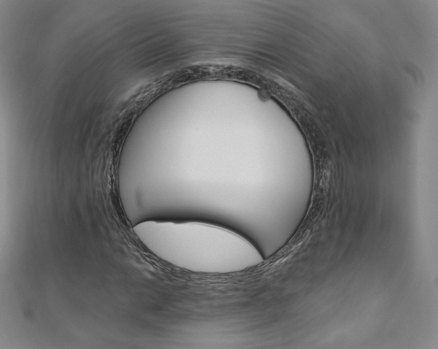 X0000110891014200906181001