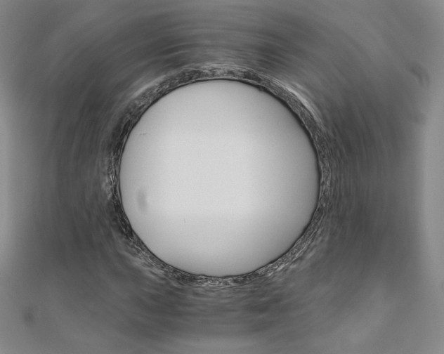 X0000110891015200906181001