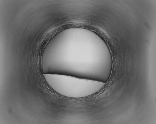 X0000110891016200906181001