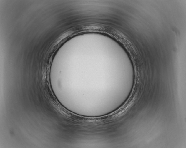 X0000110891017200906181001
