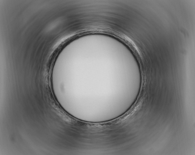 X0000110891019200906181001