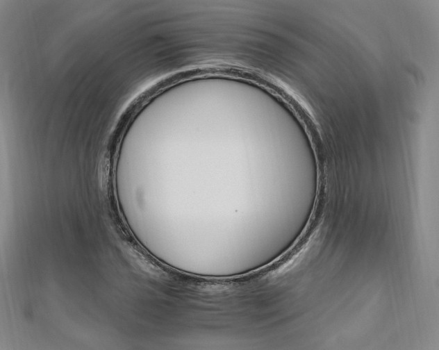 X0000110891021200906181001