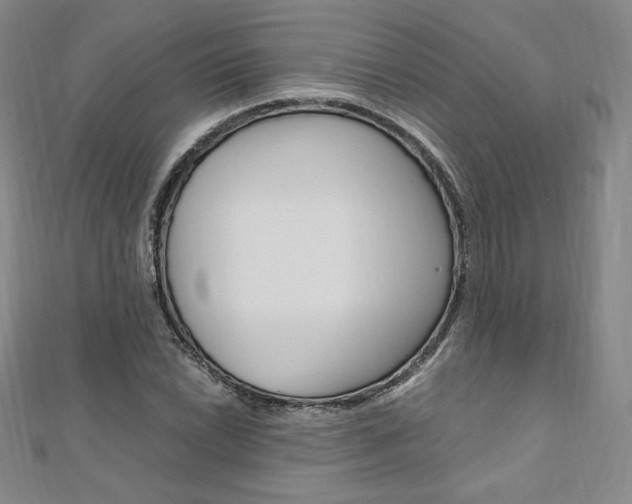 X0000110891022200906181001