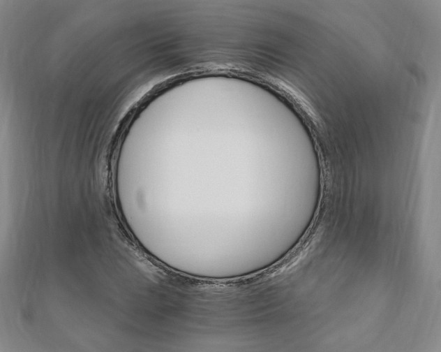 X0000110891023200906181001