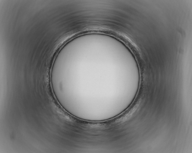 X0000110891025200906181001