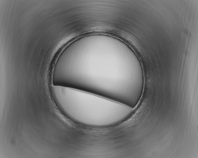 X0000110891026200906181001