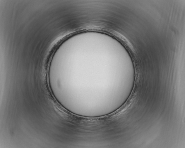 X0000110891027200906181001