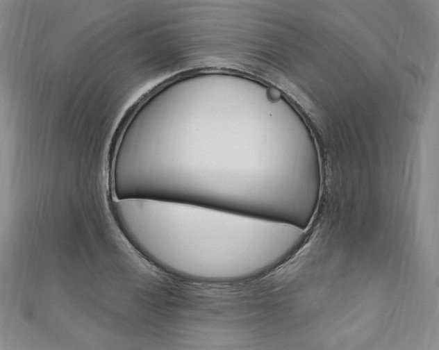 X0000110891028200906181001