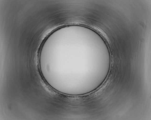X0000110891031200906181001