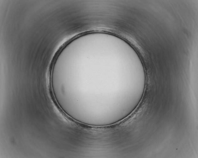 X0000110891032200906181001