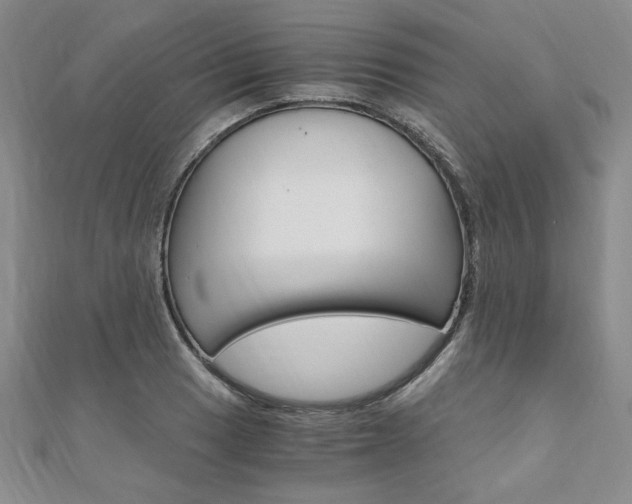 X0000110891033200906181001