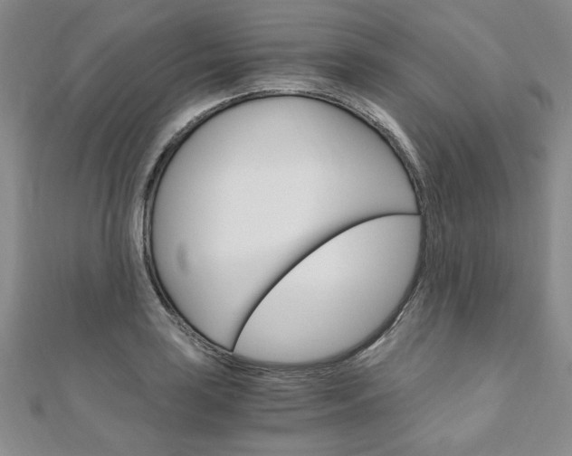 X0000110891035200906181002