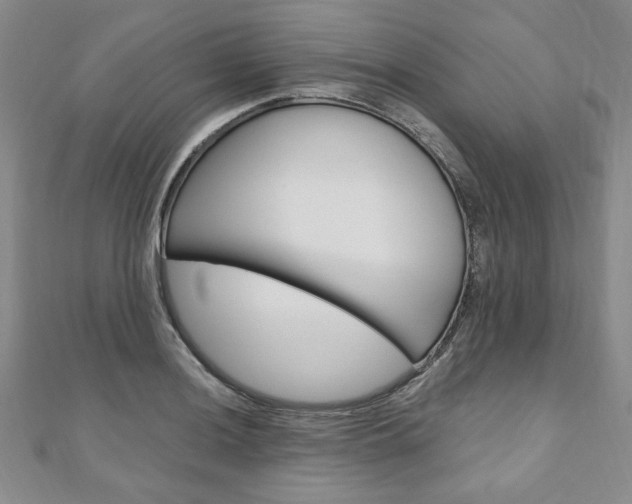 X0000110891036200906181002