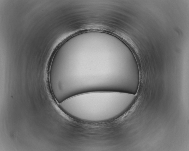 X0000110891037200906181002