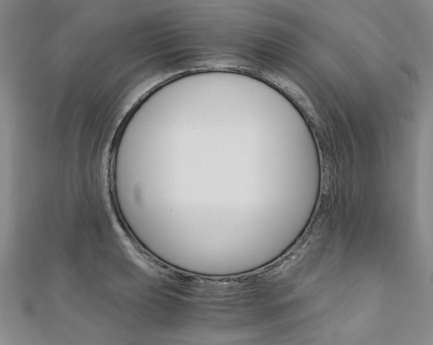 X0000110891039200906181002