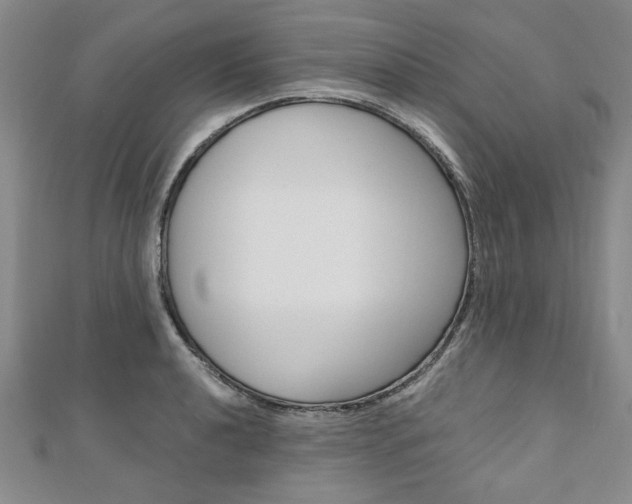 X0000110891040200906181002