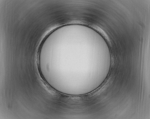 X0000110891043200906181002
