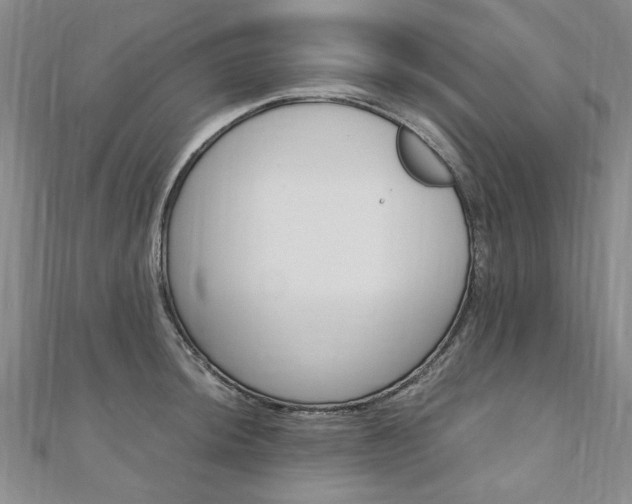 X0000110891044200906181002