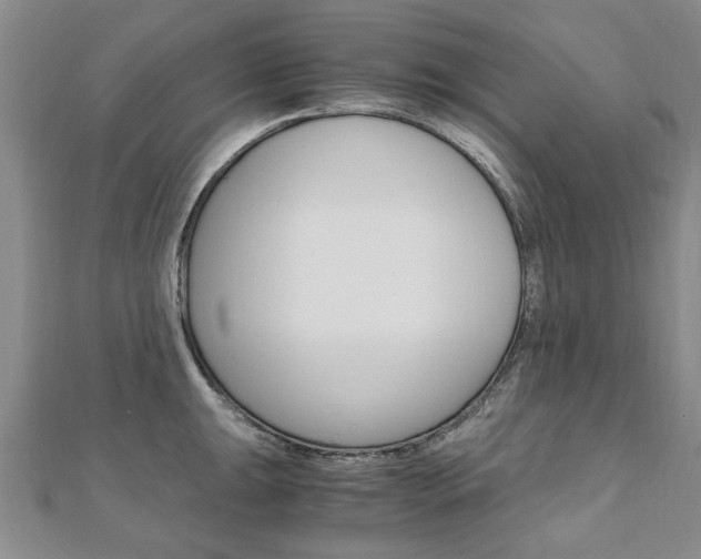 X0000110891047200906181002