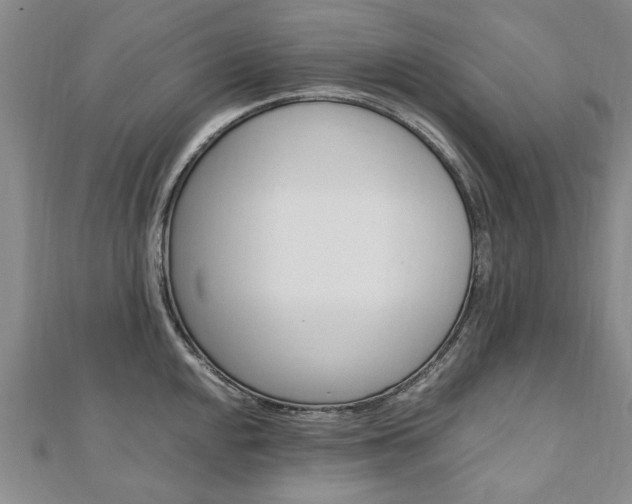 X0000110891048200906181002