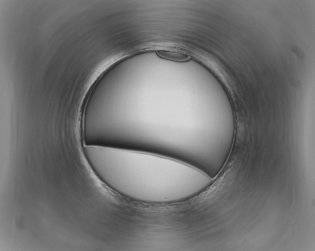 X0000110891050200906181002