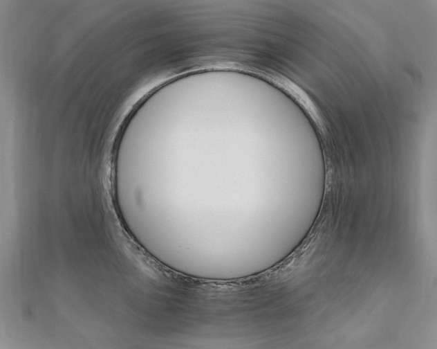 X0000110891051200906181002