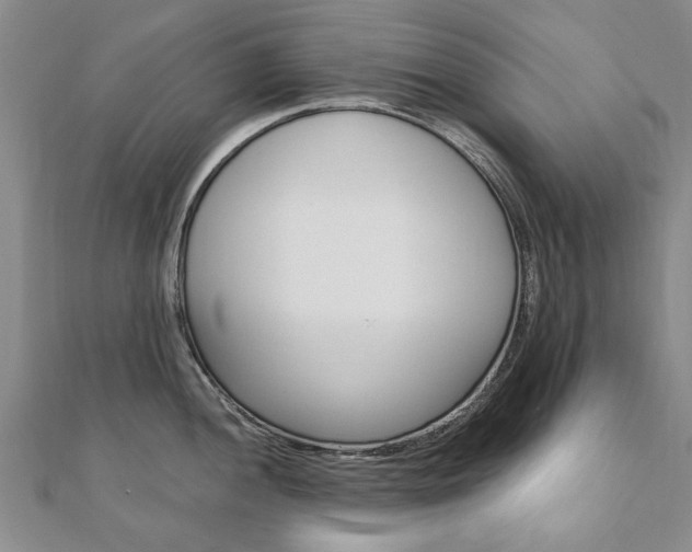 X0000110891052200906181002