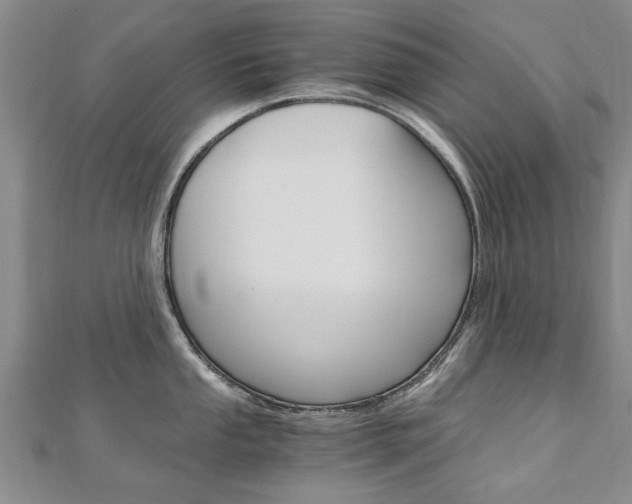 X0000110891053200906181002