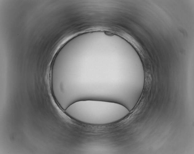 X0000110891055200906181002