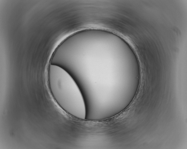 X0000110891056200906181002