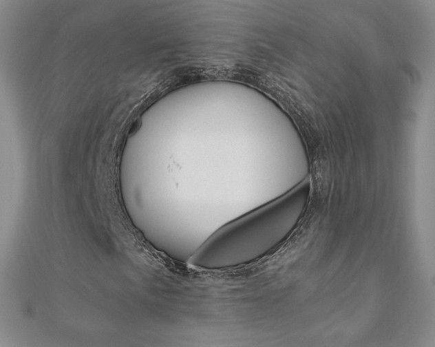X0000110891057200906181001