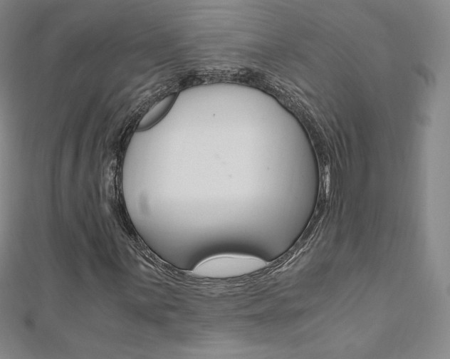 X0000110891059200906181001