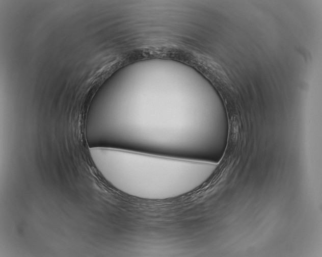X0000110891060200906181001