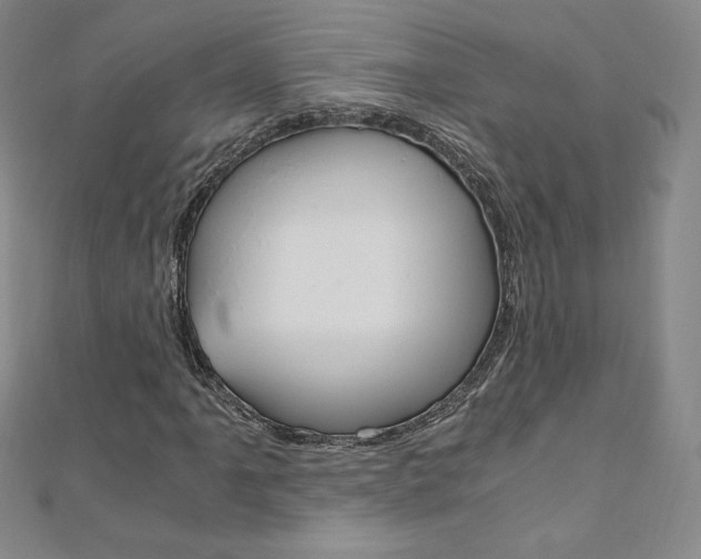 X0000110891061200906181001