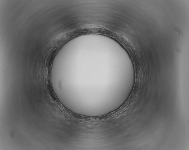 X0000110891062200906181001