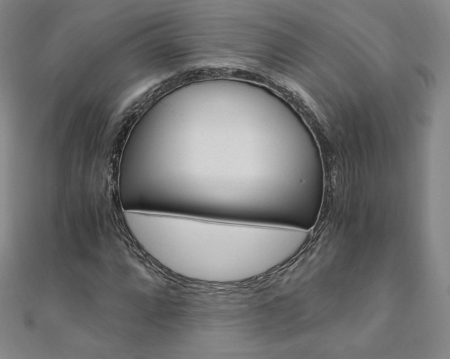 X0000110891064200906181001