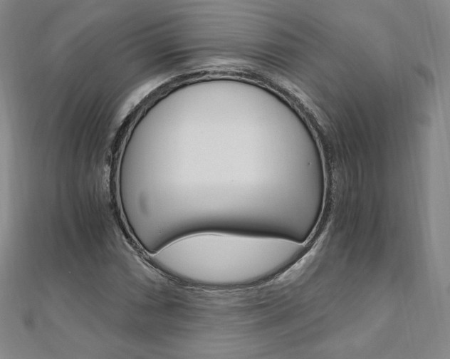 X0000110891066200906181001