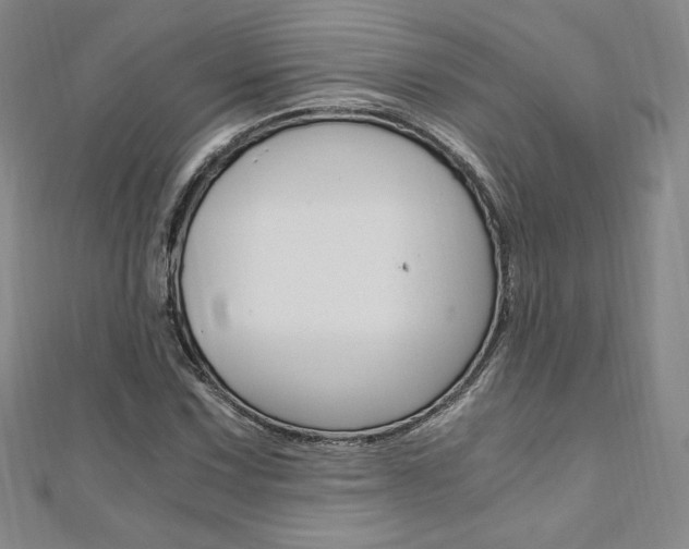 X0000110891067200906181001