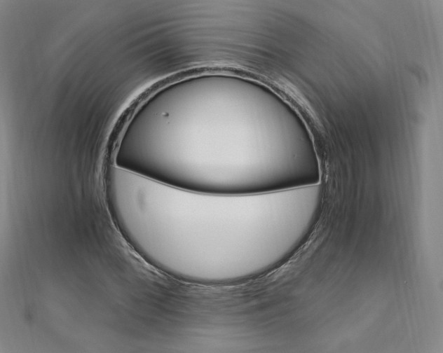 X0000110891068200906181001