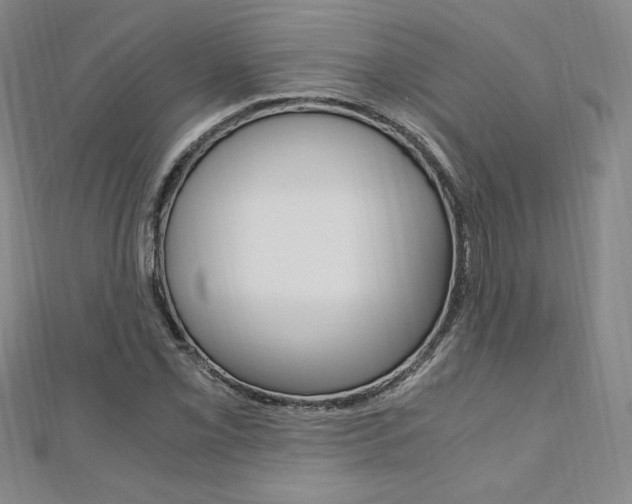 X0000110891069200906181001