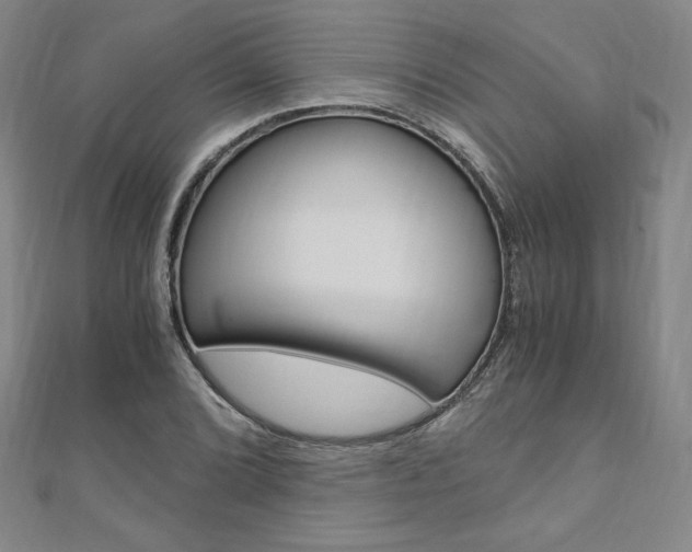 X0000110891072200906181001