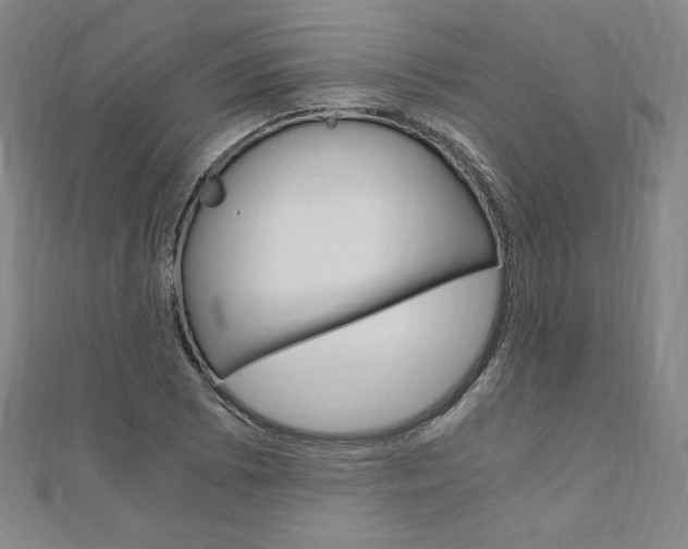 X0000110891073200906181001