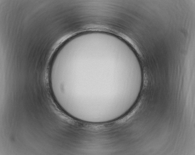X0000110891074200906181001