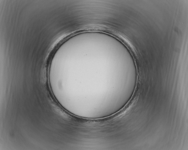 X0000110891075200906181001