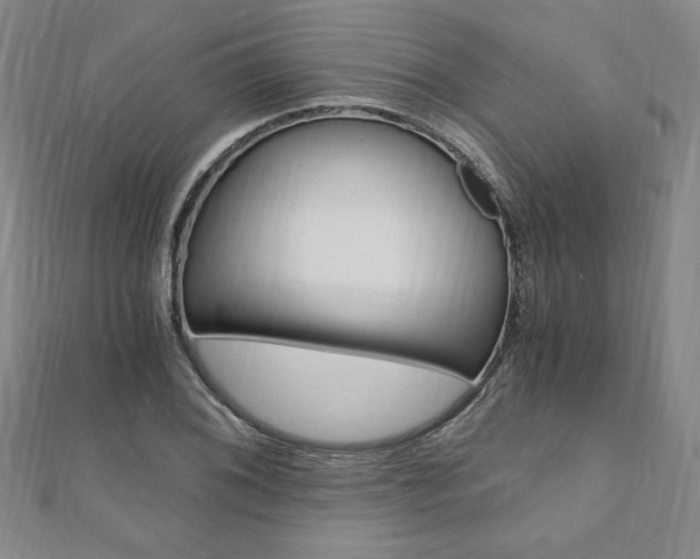 X0000110891076200906181001
