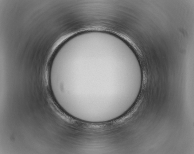 X0000110891078200906181001