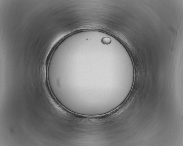 X0000110891079200906181001