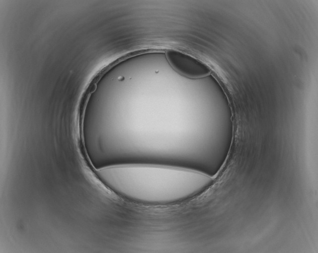 X0000110891080200906181001