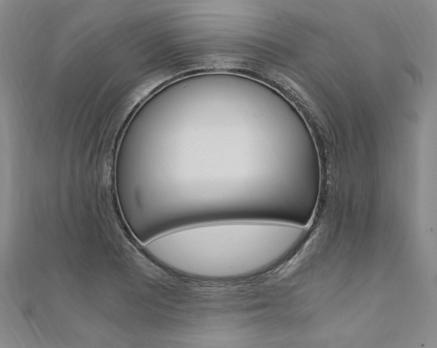 X0000110891081200906181001