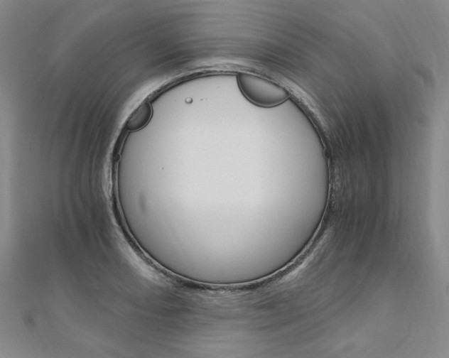 X0000110891082200906181001